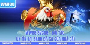 WW88 SV388 - Đối Tác Uy Tín Tại Sảnh Đá Gà Của Nhà Cái