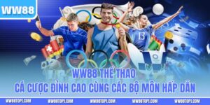 WW88 Thể Thao - Cá Cược Đỉnh Cao Cùng Các Bộ Môn Hấp Dẫn